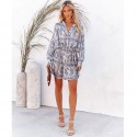 Blue White Porcelain Print Longsleeved Dress  Nhjg413038