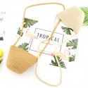 New Dumpling Shaped Cotton Rope Straw Bag Nhxm409046